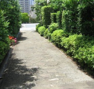 碧浜