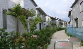 ●中央緑道