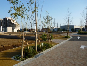 歩道の緑地帯