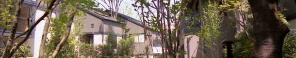 B 路地広場のしかけ B 路地広場のしかけ