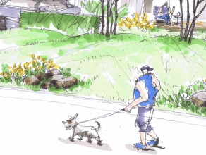 いつもの道を、犬と散歩。