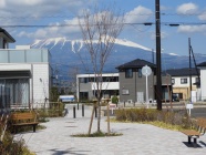●軸線緑道から富士山へ