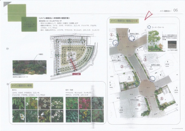 ●幹線道路沿い植栽 ●幹線道路沿い植栽