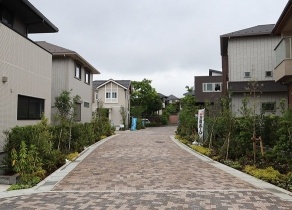 ●メイン道路 ●メイン道路
