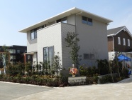 ●住友林業 ●住友林業